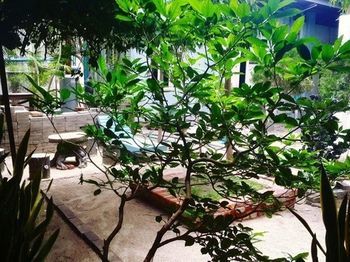 May Kha Lar Guest House Nyaung-U Экстерьер фото